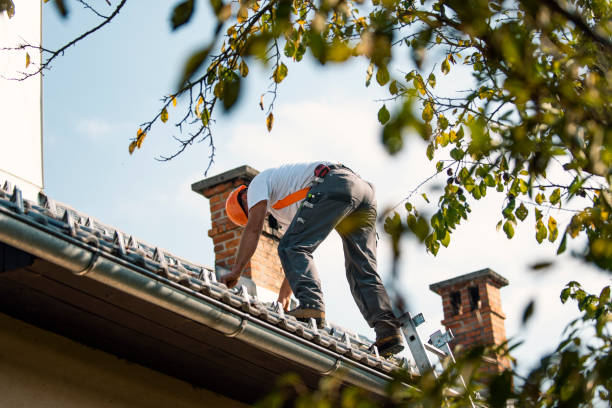 Quick and Trustworthy Emergency Roof Repair Services in Walcott, IA