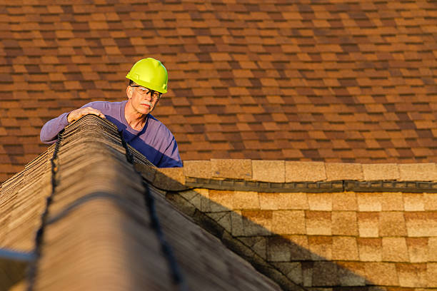 Best Roof Gutter Cleaning  in Walcott, IA
