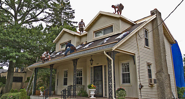 Best Flat Roof Repair Services  in Walcott, IA