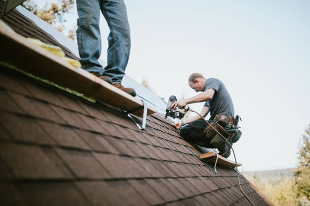 Best Local Roofing Companies  in Walcott, IA